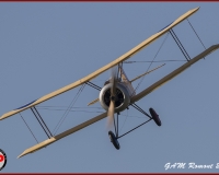 TSR Watermark - 0501